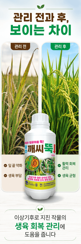 농업마켓365님의 작성글 사진