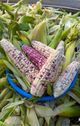 홈 갤러리 이미지