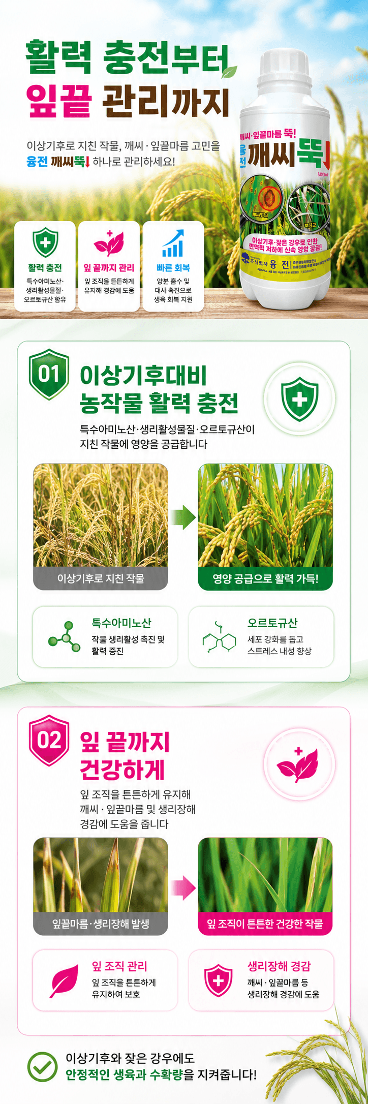 농업마켓365님의 장터 판매 상품 [융전 깨씨뚝 500ml 벼 깨씨무늬 잎끝마름 이상기후 작물활력 식물영양제 비료] 첨부 사진