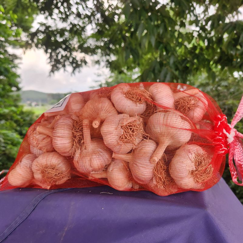 장터 상품 [유황홍산마늘 대 반접] 썸네일