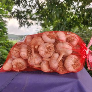 조한솔님의 작성글 사진