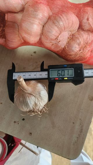 조한솔님의 작성글 사진