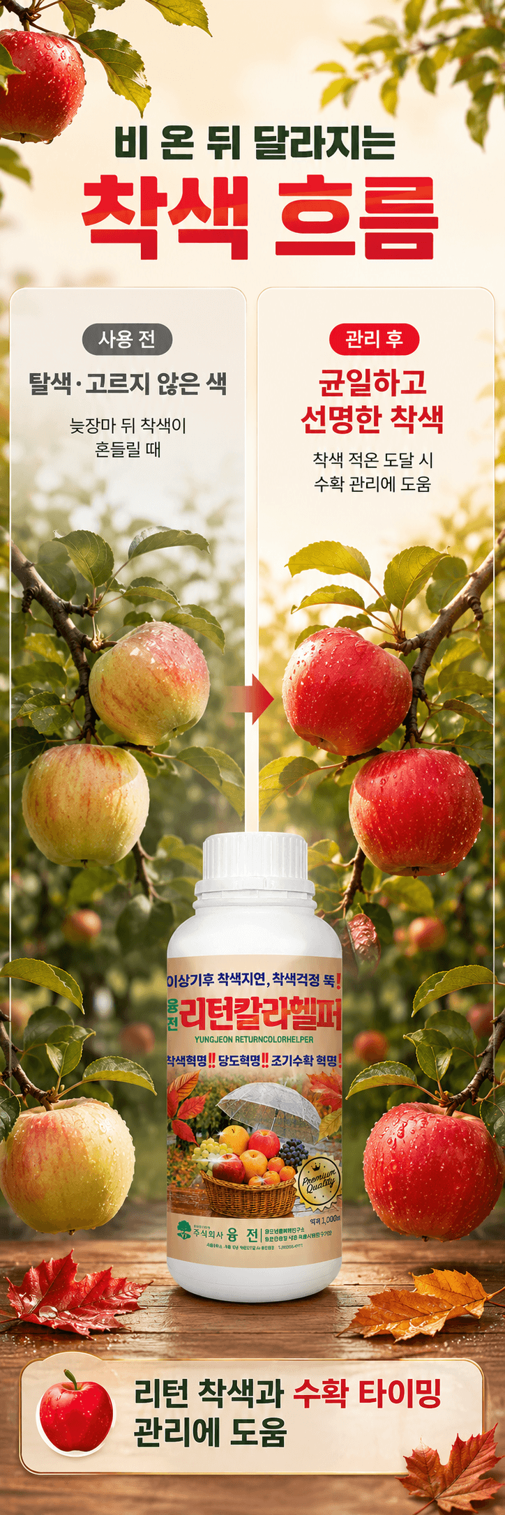 농업마켓365님의 장터 판매 상품 [융전 리턴칼라헬퍼 1L 과수 착색관리 당도관리 사과 배 포도 감귤용 식물영양제 착색제] 첨부 사진