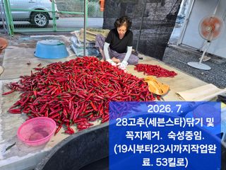 박성민님의 자유주제 · 자유게시판 작성글 사진