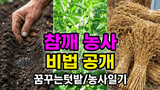 팜모닝 자유주제·자유게시판 게시글 이미지