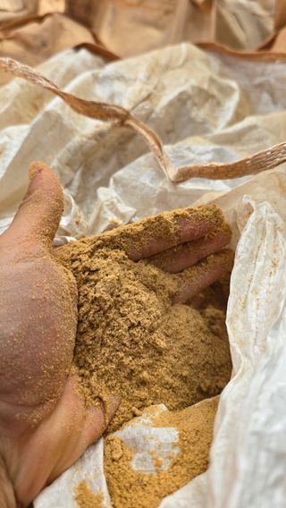 그릿님의 자유주제 · 자유게시판 작성글 사진