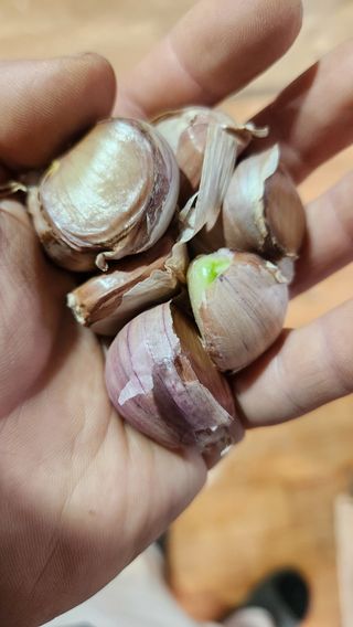 조한솔님의 작성글 사진