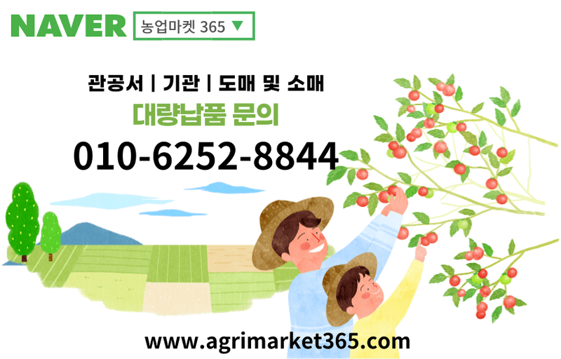 농업마켓365님의 장터 판매 상품 [융전 리턴칼라헬퍼 1L 과수 착색관리 당도관리 사과 배 포도 감귤용 식물영양제 착색제] 첨부 사진