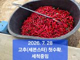 박성민님의 자유주제·자유게시판 작성글 사진