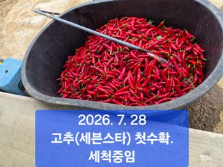 박성민님의 자유주제 · 자유게시판 작성글 사진