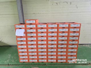 달맛햇복숭아농원님의 자유주제 · 자유게시판 작성글 사진
