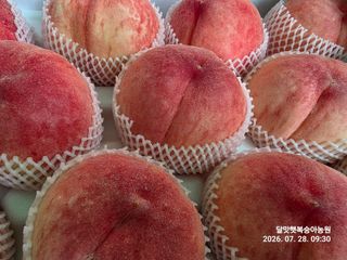 달맛햇복숭아농원님의 자유주제 · 자유게시판 작성글 사진
