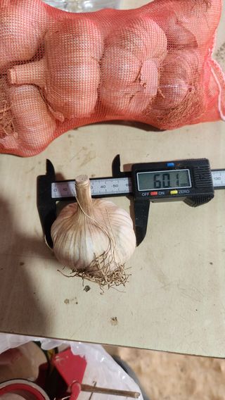 조한솔님의 작성글 사진