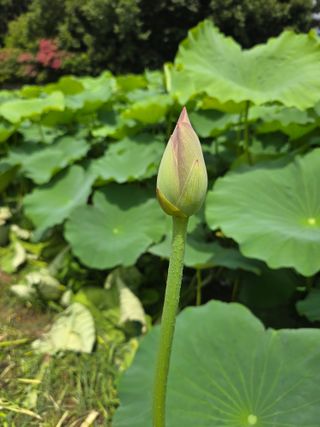 이우섭님의 자유주제 · 자유게시판 작성글 사진