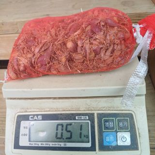 삼성농산님의 작성글 사진