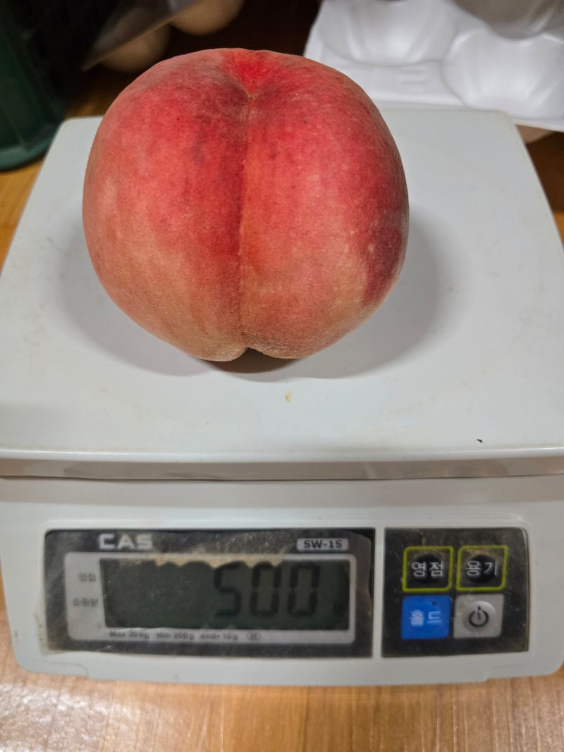장터 상품 [딱딱이 경봉 복숭아 4kg.] 썸네일