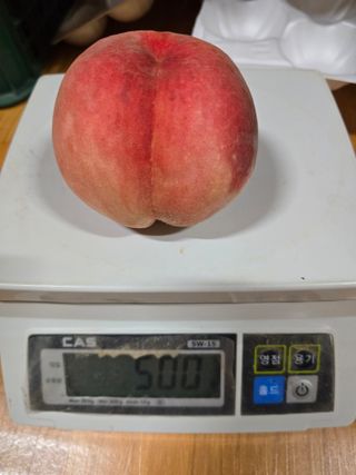 산마루농원님의 작성글 사진
