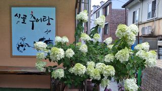 MSG0074님의 자유주제 · 자유게시판 작성글 사진