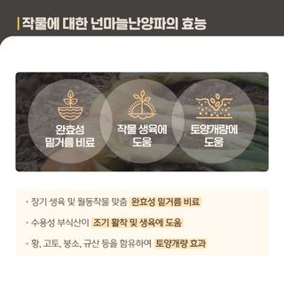 누보농장님의 자유주제 · 자유게시판 작성글 사진