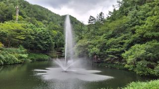 MSG0074님의 자유주제 · 자유게시판 작성글 사진