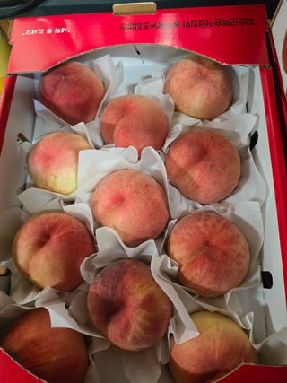 산마루농원님의 작성글 사진