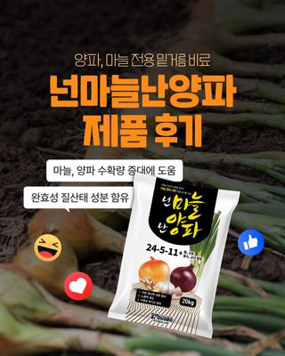 누보농장님의 자유주제·자유게시판 작성글 사진