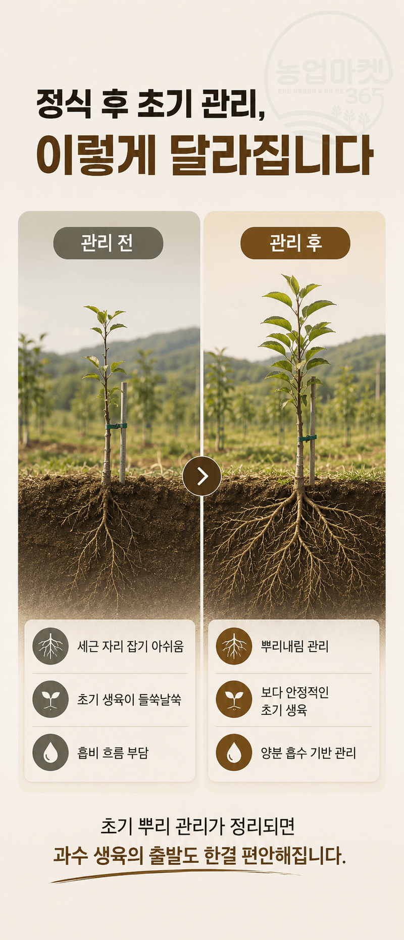 농업마켓365님의 장터 판매 상품 [뿌리온 10L 새뿌리발달 뿌리발근촉진 과수특화영양제 관주/엽면시비 비료 식물영양제] 첨부 사진