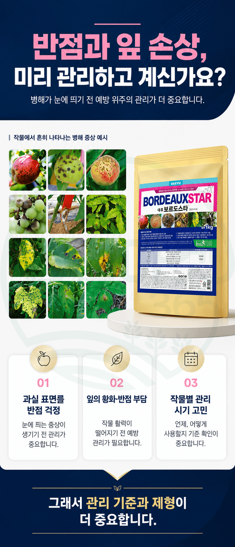 농업마켓365님의 장터 판매 상품 [대유 보르도스타 1KG 입상수화제 동제 보르도 병해관리제 친환경 유기농자재] 첨부 사진