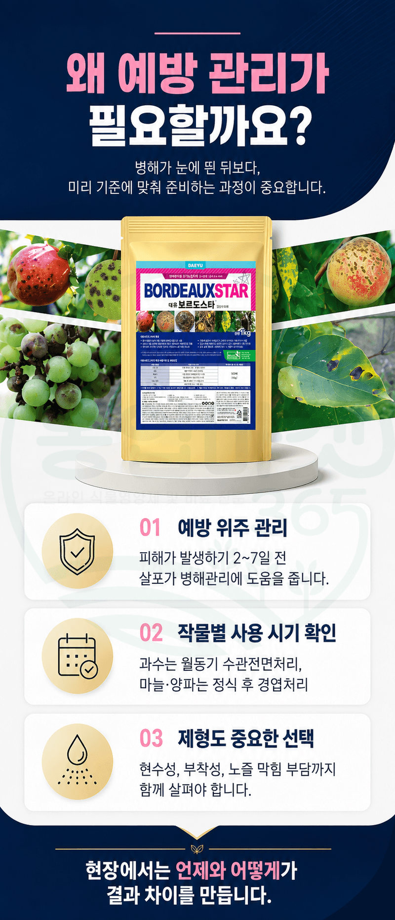 농업마켓365님의 장터 판매 상품 [대유 보르도스타 1KG 입상수화제 동제 보르도 병해관리제 친환경 유기농자재] 첨부 사진