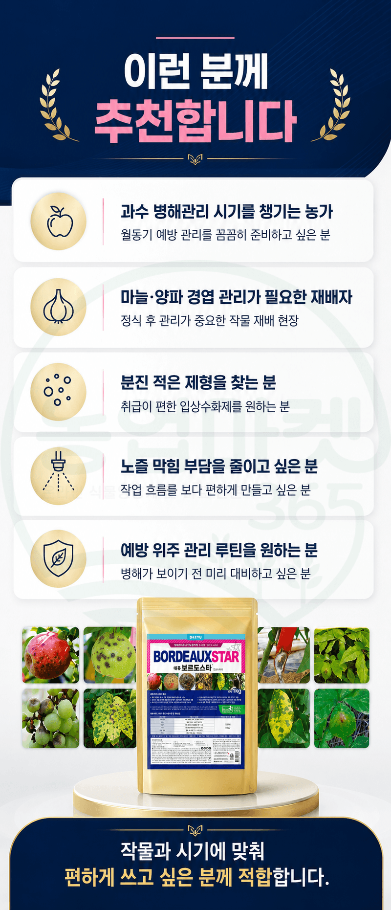 농업마켓365님의 장터 판매 상품 [대유 보르도스타 1KG 입상수화제 동제 보르도 병해관리제 친환경 유기농자재] 첨부 사진