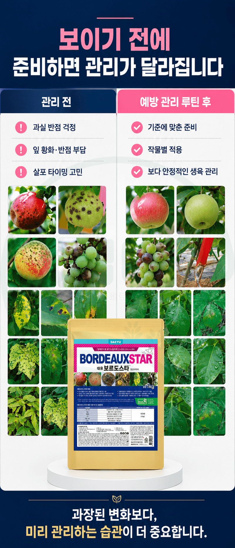 농업마켓365님의 장터 판매 상품 [대유 보르도스타 1KG 입상수화제 동제 보르도 병해관리제 친환경 유기농자재] 첨부 사진