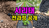 팜모닝 자유주제·자유게시판 게시글 이미지