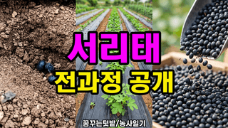 꿈꾸는텃밭님의 자유주제 · 자유게시판 작성글 사진