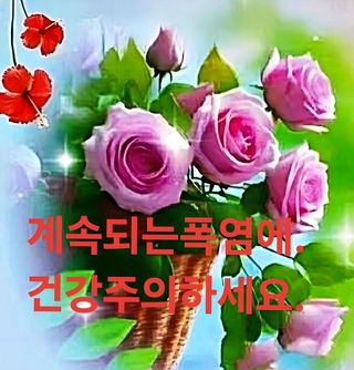 MSG0074님의 자유주제 · 자유게시판 작성글 사진