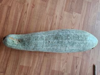 farmer님의 자유주제 · 자유게시판 작성글 사진