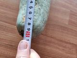 farmer님의 자유주제·자유게시판 작성글 사진