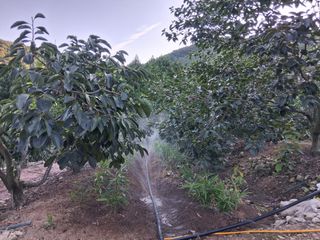 느랫골농장 가족님의 자유주제 · 자유게시판 작성글 사진