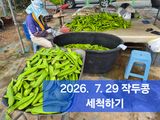 팜모닝 자유주제·자유게시판 게시글 이미지