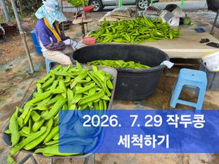 박성민님의 자유주제·자유게시판 작성글 사진