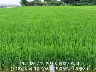 선종이님의 농사, 무엇이든 물어보세요! · 참여글 작성글 사진