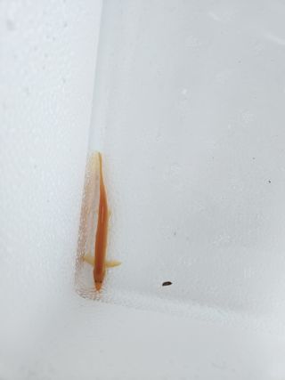 김재현님의 자유주제 · 사진전 작성글 사진