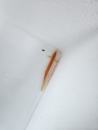 김재현님의 자유주제 · 사진전 작성글 사진