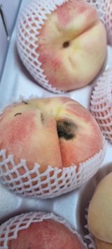 팜모닝 자유주제·사진전 게시글 이미지