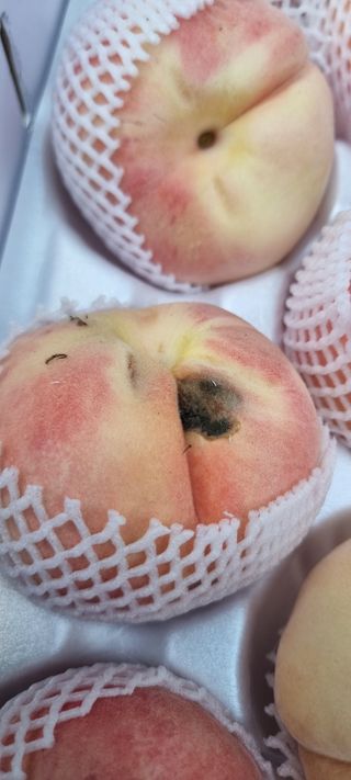 사또와춘향님의 자유주제 · 사진전 작성글 사진