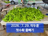 박성민님의 자유주제·자유게시판 작성글 사진