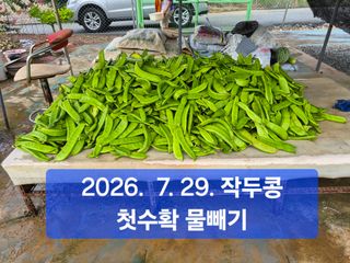 박성민님의 자유주제 · 자유게시판 작성글 사진
