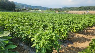 HYUN님의 자유주제 · 자유게시판 작성글 사진