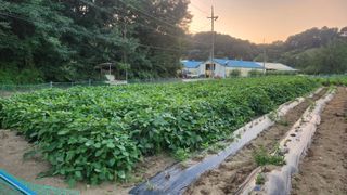 HYUN님의 자유주제 · 자유게시판 작성글 사진