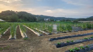HYUN님의 자유주제 · 자유게시판 작성글 사진