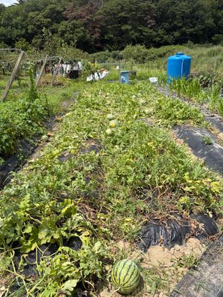 원빈님의 자유주제 · 자유게시판 작성글 사진